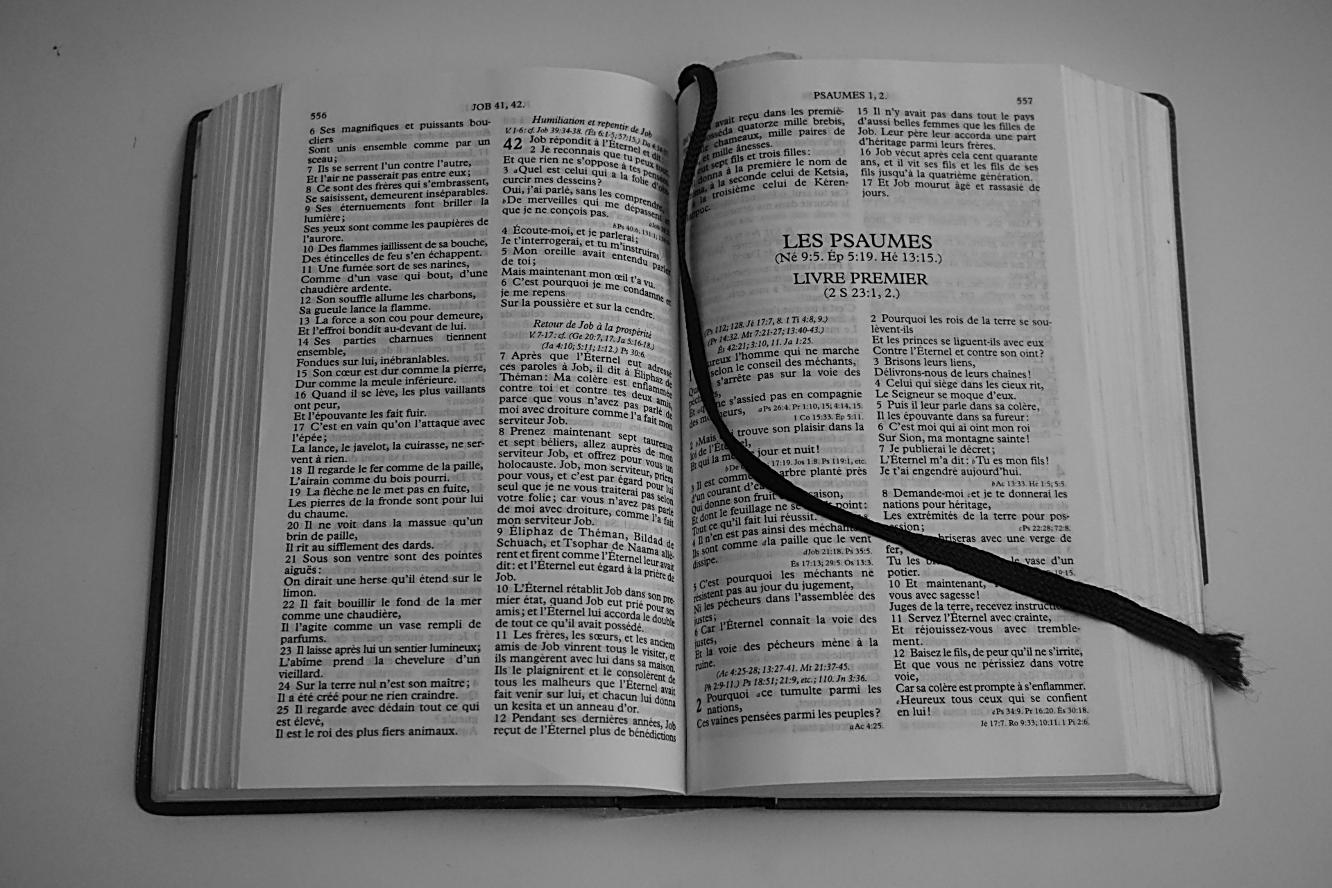 Do You Believe in the Bible?